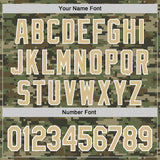 Custom Stitched Camo Vegas Gold-White 3D Salute To Service Sports Pullover Sweatshirt Hoodie