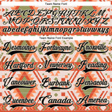Custom Cream Black-Orange 3D Pattern Native Americans Tribal Indigenous People Hockey Lace Neck Jersey