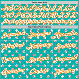 Custom Stitched Aqua White-Bay Orange 3D Pattern Design Baseball Game Day Miami Inspired Sports Pullover Sweatshirt Hoodie