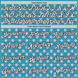 Custom Stitched Panther Blue White-Black 3D Pattern Design Baseball Game Day Carolina Inspired Sports Pullover Sweatshirt Hoodie