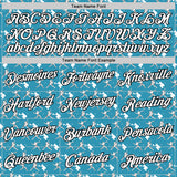 Custom Stitched Panther Blue White Red-Black 3D Pattern Design Baseball Game Day Carolina Inspired Sports Pullover Sweatshirt Hoodie