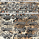Custom Cream Black Brown-White 3D Pattern Leopard Print Hockey Lace Neck Jersey