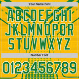 Custom Yellow Green White-Black South Africa Performance T-Shirt