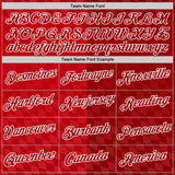 Custom Red White Denmark Performance T-Shirt