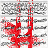 Custom White Red Gray-Black Tunisia Eagle Performance T-Shirt