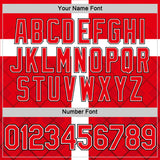 Custom Fire Red White Switzerland Cross Performance T-Shirt