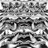 Custom Black White New Zealand Silver Fern Performance T-Shirt