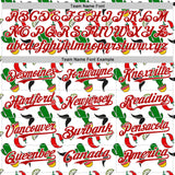 Custom White-Red Mexican Cinco de Mayo Fiesta Chili Cactus Authentic Baseball Jersey