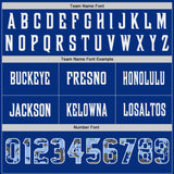 Custom Royal Camo White-Light Blue Authentic Digital Camouflage Panel Football Jersey