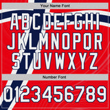 Custom Red White-Navy Norway Flag Performance T-Shirt