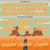 Custom Green Bay Orange-White Desert Americana Road Trip Authentic Baseball Jersey