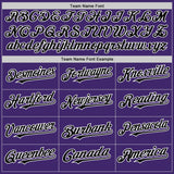 Custom Purple Black-White Line Authentic Baseball Jersey