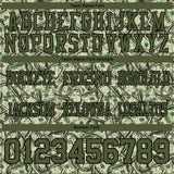 Custom Green Olive-Black 3D Pattern Dollar Authentic Football Jersey