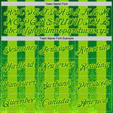 Custom Green Grass Green Yellow-Light Yellow 3D Pattern Design Brazil Stripe Sportswear Performance T-Shirt