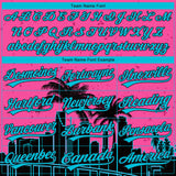 Custom Stitched Pink Sky Blue-Black 3D Miami Palm Trees City Edition Sports Pullover Sweatshirt Hoodie