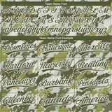 Custom Stitched Camo Olive-White 3D Sports Pullover Sweatshirt Salute To Service Hoodie