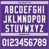 Custom Purple White-Gray Authentic Baseball Jersey