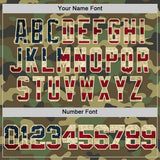 Custom Camo Vintage USA Flag Cream-Black Authentic Salute To Service Basketball Jersey