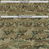 Custom Camo USA Flag Olive-Vegas Gold Stars & Stripes Raglan Sleeves Salute To Service Authentic Baseball Jersey