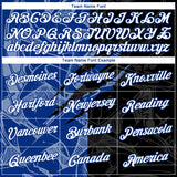 Custom Graffiti Pattern White Black-Royal Scratch 3D Performance T-Shirt