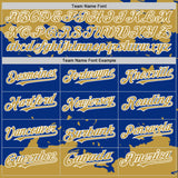 Custom Royal Old Gold-White Splash Art 3D Pattern Design Bomber Full-Snap Varsity Letterman Hoodie Jacket