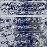 Custom Gray Navy-White 3D Pattern Design Bomber Full-Snap Varsity Letterman Hoodie Jacket