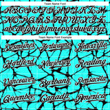 Custom Aqua Black-White Abstract Network 3D Pattern Design Bomber Full-Snap Varsity Letterman Hoodie Jacket