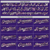 Custom Purple-Black Digital Camo Two Tone Bomber Full-Snap Varsity Letterman Hoodie Jacket