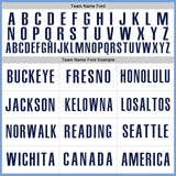 Custom Light Blue Navy-White Authentic Baseball Jersey