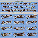 Custom Stitched Light Blue Brown-White Baseball Pullover Sweatshirt Hoodie