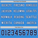 Custom Powder Blue Navy-White Long Sleeve Authentic Football Jersey