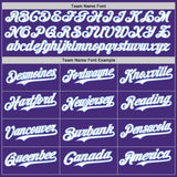 Custom Purple White-Light Blue Gradient Classic Vertical Stripe Authentic Baseball Jersey