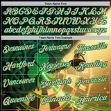 Custom Green Vegas Gold-Kelly Green Darts St.Patrick's Day Shamrock Dartboard Performance Polo Shirt