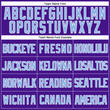 Custom Purple Light Blue-White Mesh Authentic Throwback Baseball Jersey