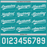 Custom Teal-White Reversible Button-Down Baseball Jersey