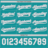 Custom Teal White-Gray Reversible Button-Down Baseball Jersey