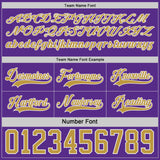 Custom Purple Old Gold-White Reversible Double Side Hockey Jersey
