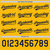Custom Navy-Gold Reversible Pullover Baseball Jersey Shirt