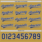 Custom Navy Old Gold-White Reversible Pullover Baseball Jersey Shirt