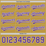 Custom Purple Old Gold-White Reversible Pullover Baseball Jersey Shirt