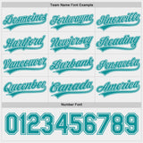 Custom Teal-White Reversible Pullover Baseball Jersey Shirt