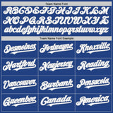 Custom Royal White-Gray Mesh Authentic Throwback Baseball Jersey