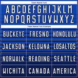 Custom Thunder Blue White-Navy Gradient Pinstripe Sublimation Soccer Uniform Jersey