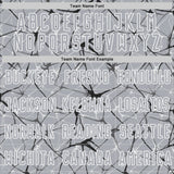 Custom Gray Black-White Abstract Network Crackle Sublimation Soccer Uniform Jersey