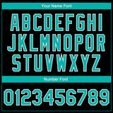 Custom Black Aqua-White Seated Cat 3D Pattern Design Bomber Full-Snap Varsity Letterman Jacket