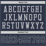 Custom Navy Gray Mesh Authentic Football Jersey