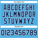 Custom Sky Blue Navy-White Performance T-Shirt