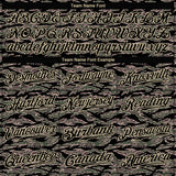 Custom Camo Black-Cream Authentic Salute To Service Baseball Jersey