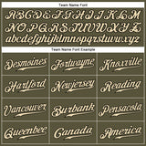 Custom Olive Cream-Black Authentic Salute To Service Baseball Jersey